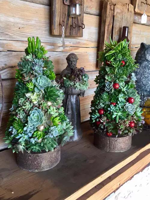 A Pair of Two Trees #christmastree #succulent #decorhomeideas