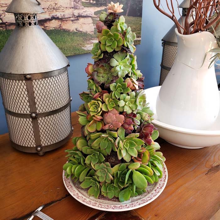 Beautiful Centerpiece Succulent Tree #christmastree #succulent #decorhomeideas