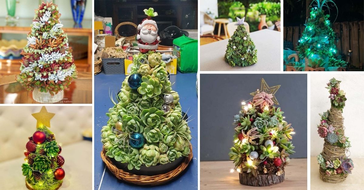 Christmas Succulent Trees