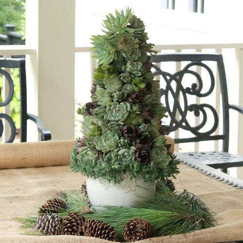 Christmas Tree Centerpiece #christmastree #succulent #decorhomeideas