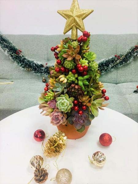 Christmas Tree with Succulents, Ornaments, and Baubles #christmastree #succulent #decorhomeideas