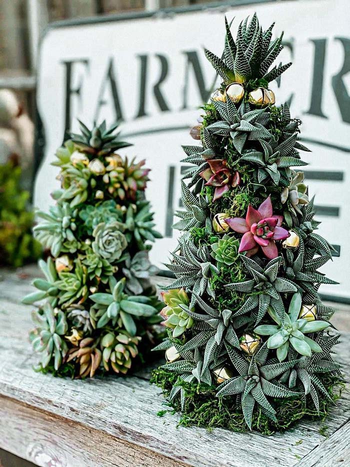 Christmassy Succulent Trees #christmastree #succulent #decorhomeideas