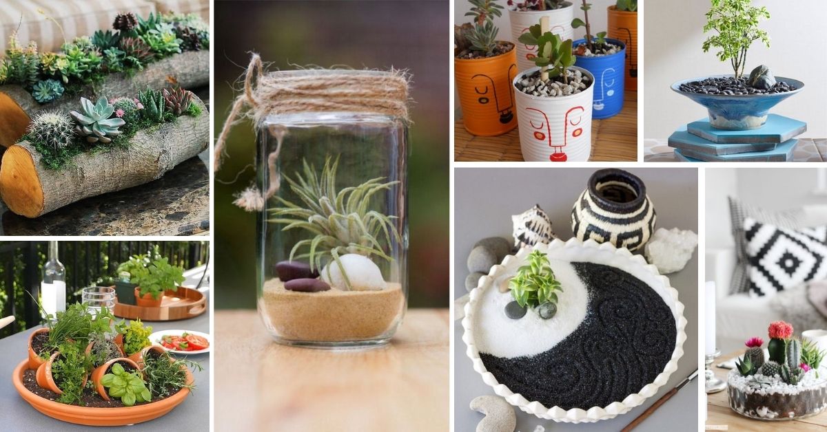 diy-mini-zen-gardens