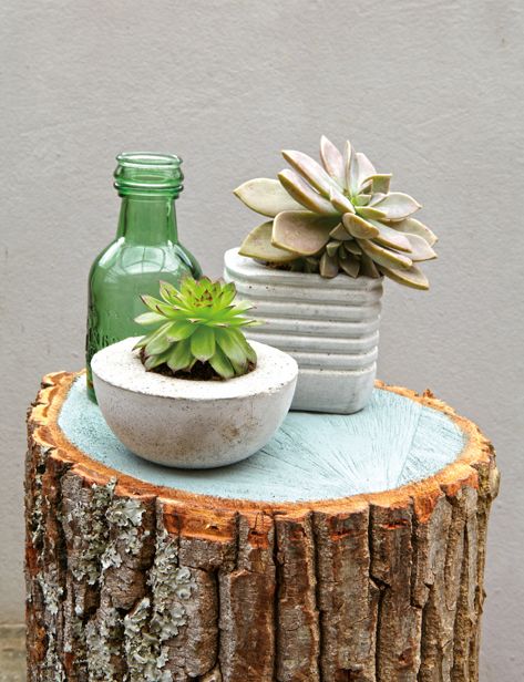 DIY Pot Plants #zengarden #minigarden #decorhomeideas