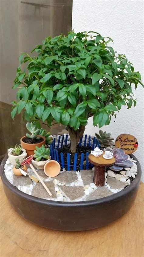 Fairy Garden #zengarden #minigarden #decorhomeideas