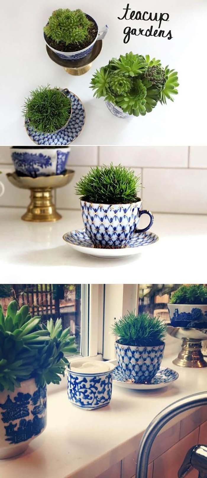 Fill a Cup with Succulents #homedecor #hacks #decorhomeideas