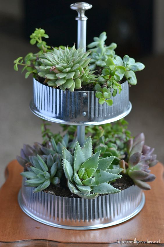 Industrial Tiered Tabletop Succulent Garden #zengarden #minigarden #decorhomeideas