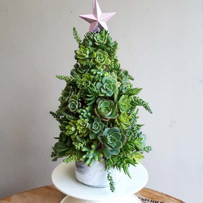 Lush Green Christmas Tree on a White Countertop #christmastree #succulent #decorhomeideas