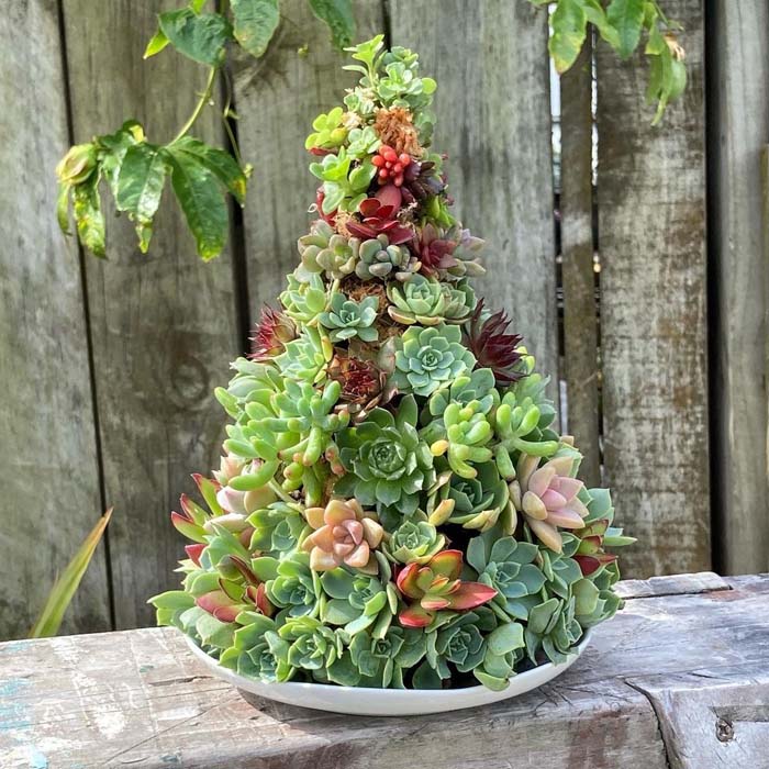 Mini Succulents Christmas Tree #christmastree #succulent #decorhomeideas