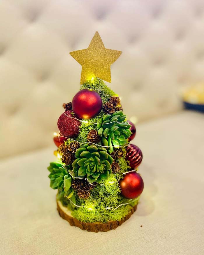 Moss and Succulent Christmas Tree #christmastree #succulent #decorhomeideas