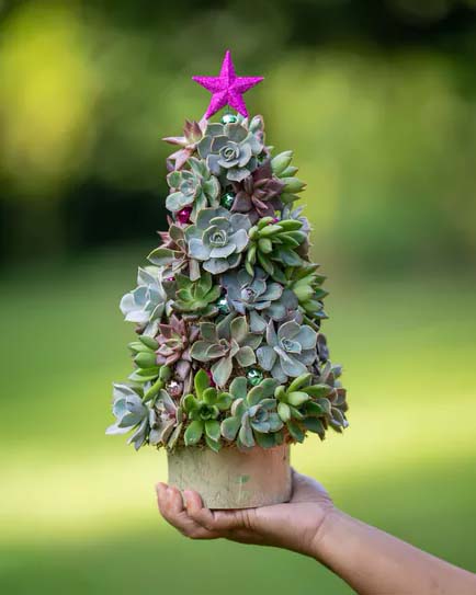 Over-the-Top Christmas Tree #christmastree #succulent #decorhomeideas