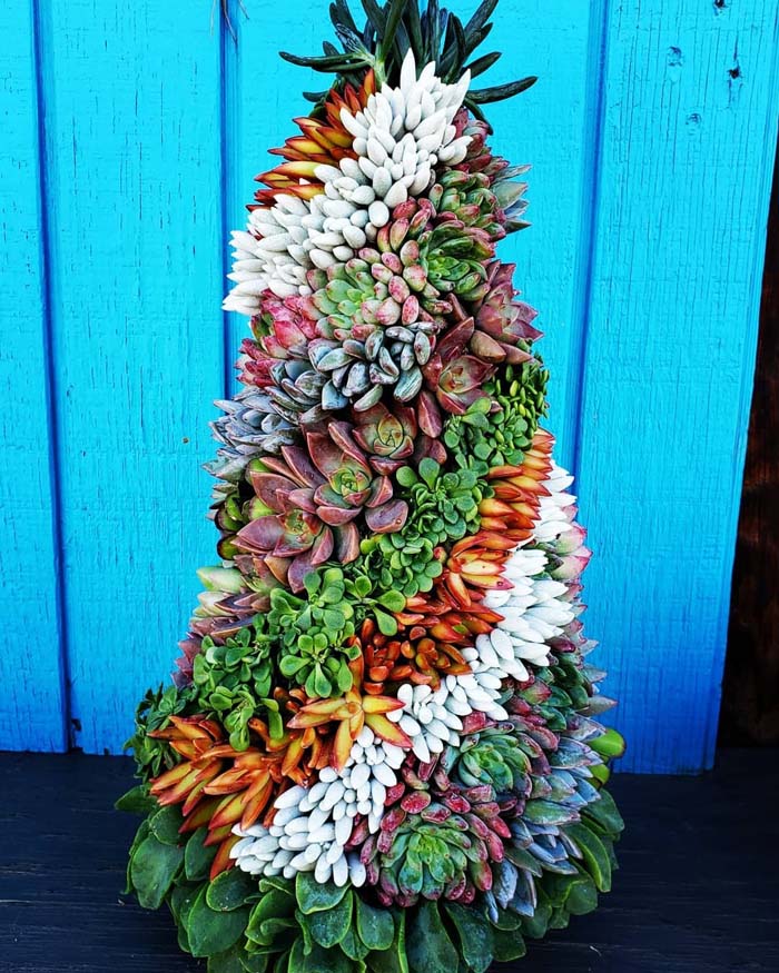 Rainbow Succulent Christmas Tree #christmastree #succulent #decorhomeideas