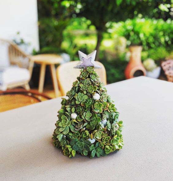 Stubby Succulent Tree for Coffee Table #christmastree #succulent #decorhomeideas