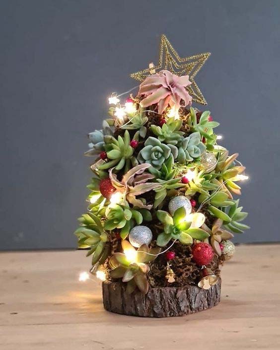 Succulent Christmas Tree Idea #christmastree #succulent #decorhomeideas