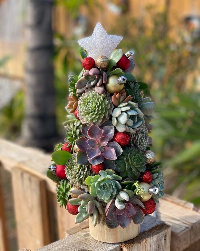 Succulent Christmas Tree in a Cedar Wood Planter #christmastree #succulent #decorhomeideas