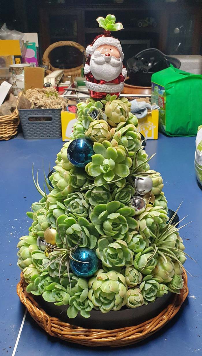 Succulent Christmas Tree With Turquoise Ornaments #christmastree #succulent #decorhomeideas