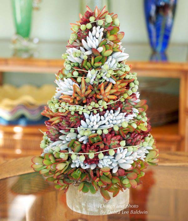 Succulent Topiary Tree #christmastree #succulent #decorhomeideas