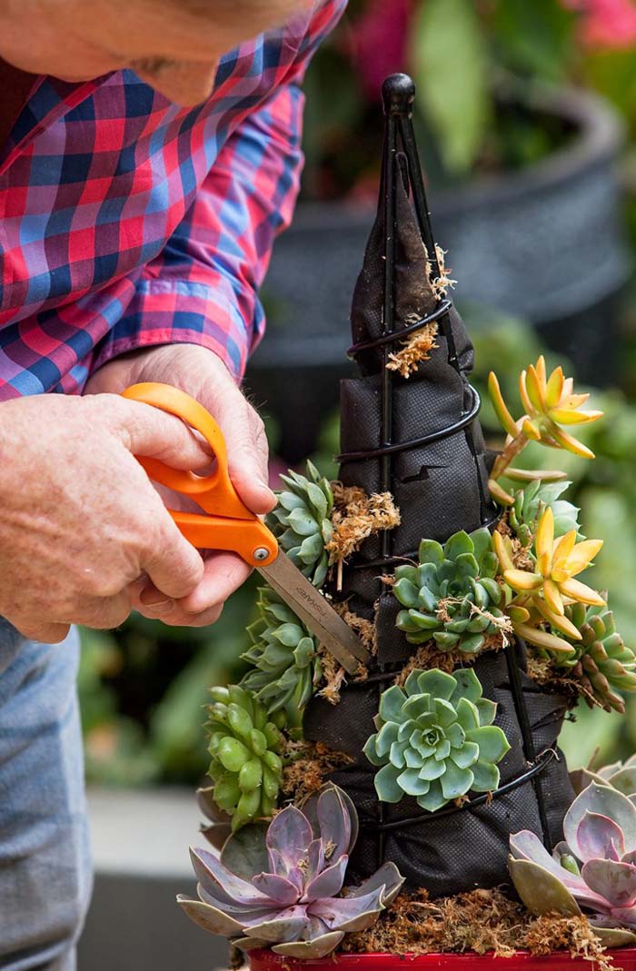 Succulent Tree for an Apartment #christmastree #succulent #decorhomeideas