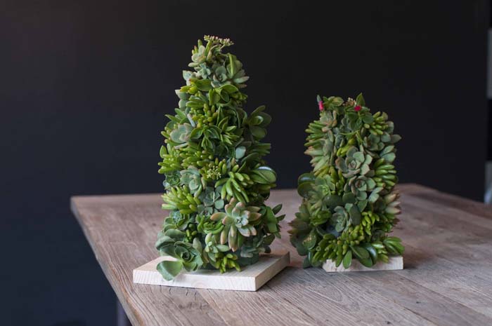 Succulent Tree with a Wooden Platform #christmastree #succulent #decorhomeideas