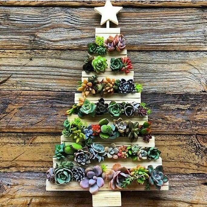 Succulents on a Wooden Frame #christmastree #succulent #decorhomeideas