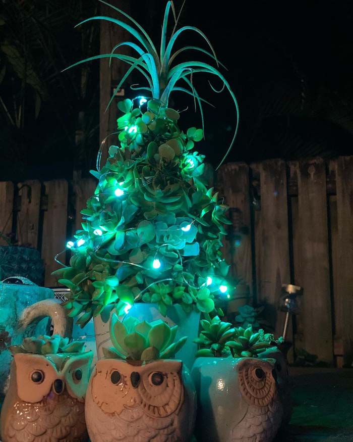 Succulents with Fairy Lights #christmastree #succulent #decorhomeideas