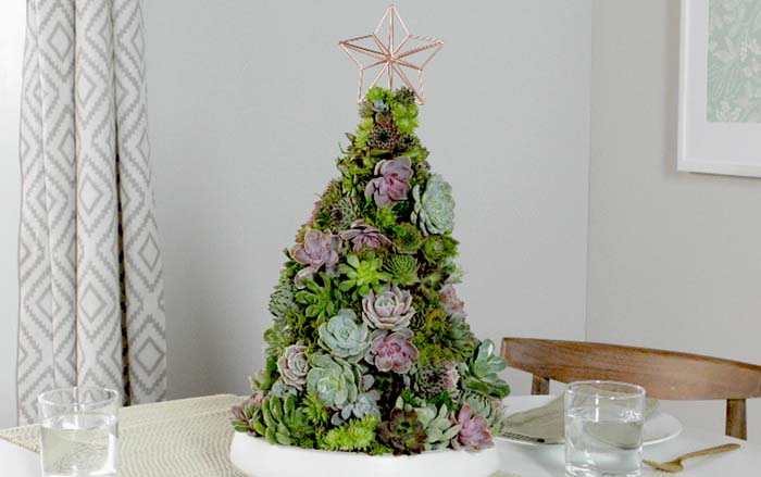 Tabletop Christmas Tree #christmastree #succulent #decorhomeideas