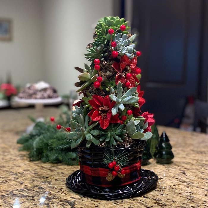 The Magician's Hat #christmastree #succulent #decorhomeideas