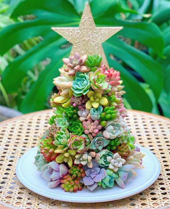 Thrifty Succulents on a Table Top #christmastree #succulent #decorhomeideas