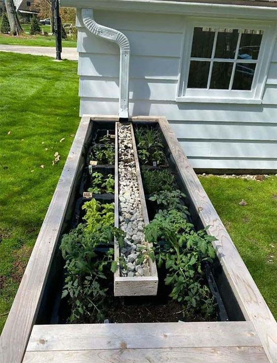 Water System Vegetables #downspout #landscaping #rocks #decorhomeideas