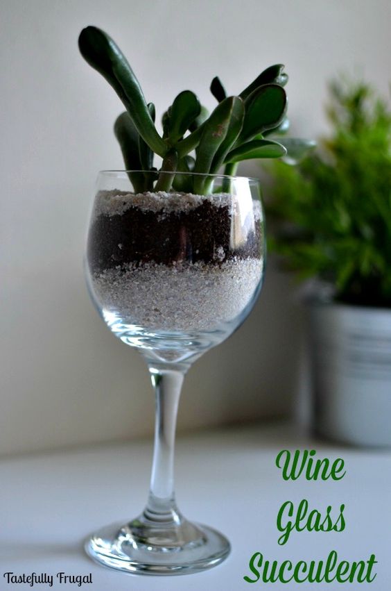 Wine Glass Succulents #zengarden #minigarden #decorhomeideas