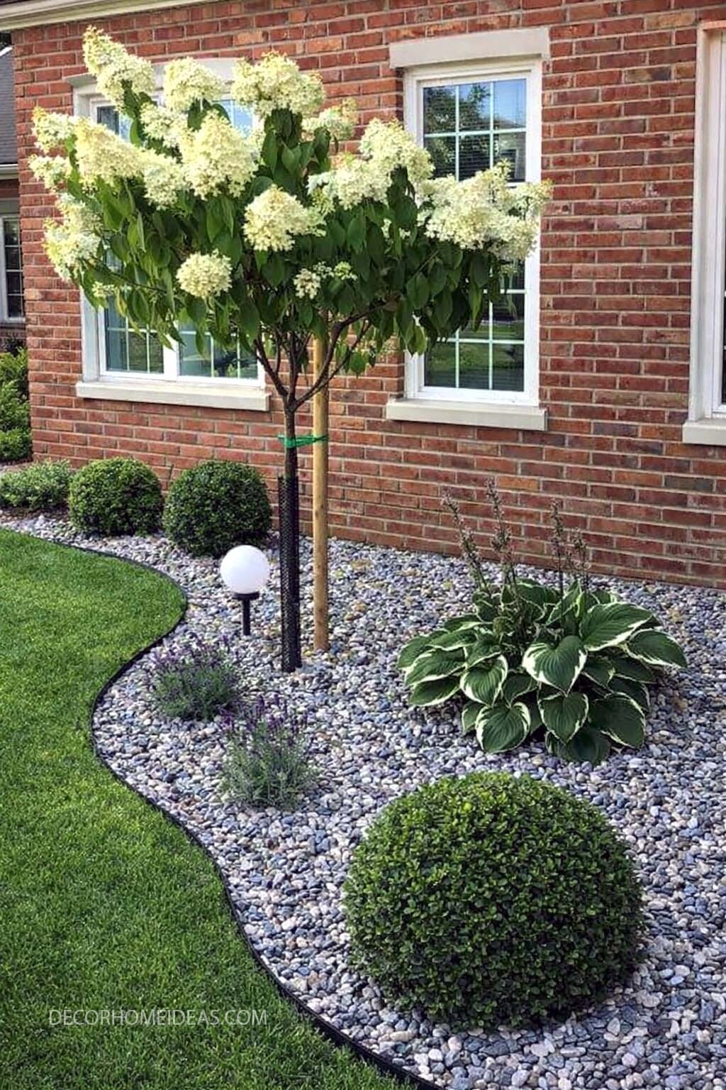 Simple Front Yard Rock Garden with Hydrangea Tree