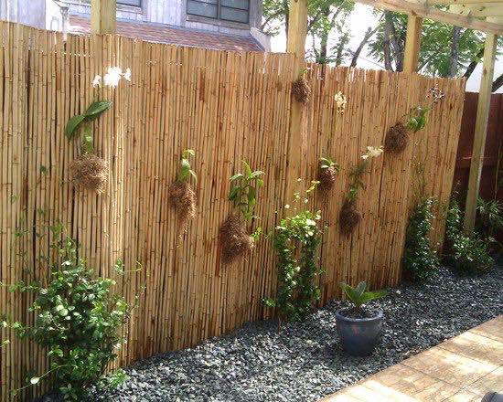 Bamboo Fence with Vertical Garden #bamboofence #fencing #decorhomeideas