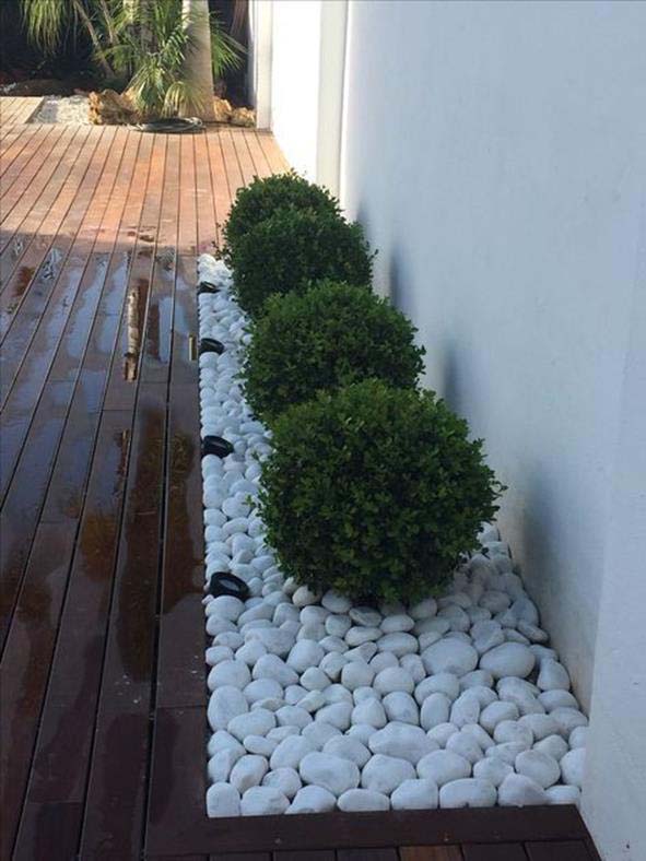 Crea contraste de color #whiterock #landscapingideas #decorhomeideas