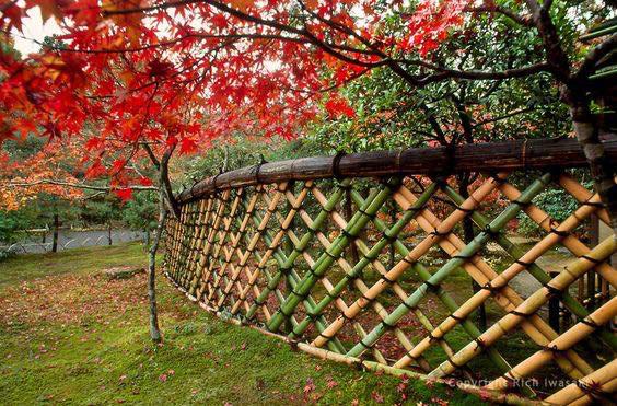 Curved Bamboo Fence #bamboofence #fencing #decorhomeideas