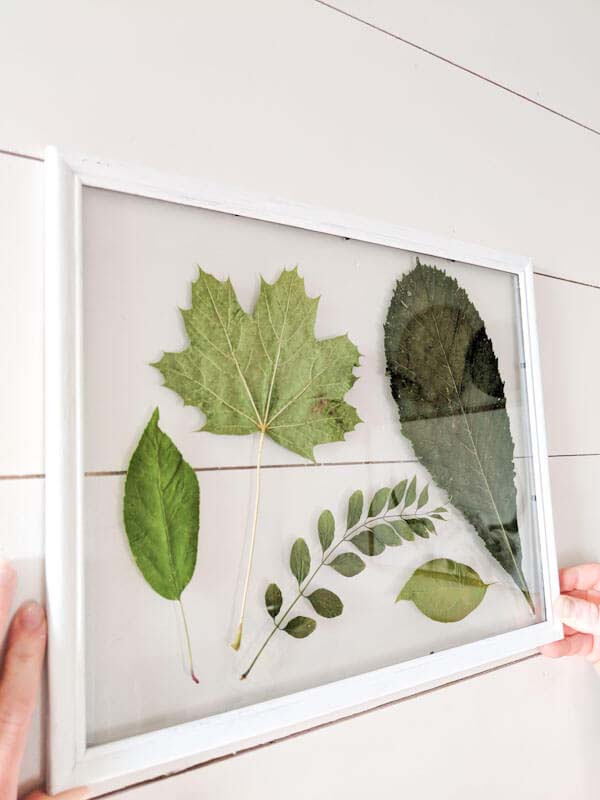 Glass Framed Hanging Leaf Arrangement #rustic #walldecor #decorhomeideas