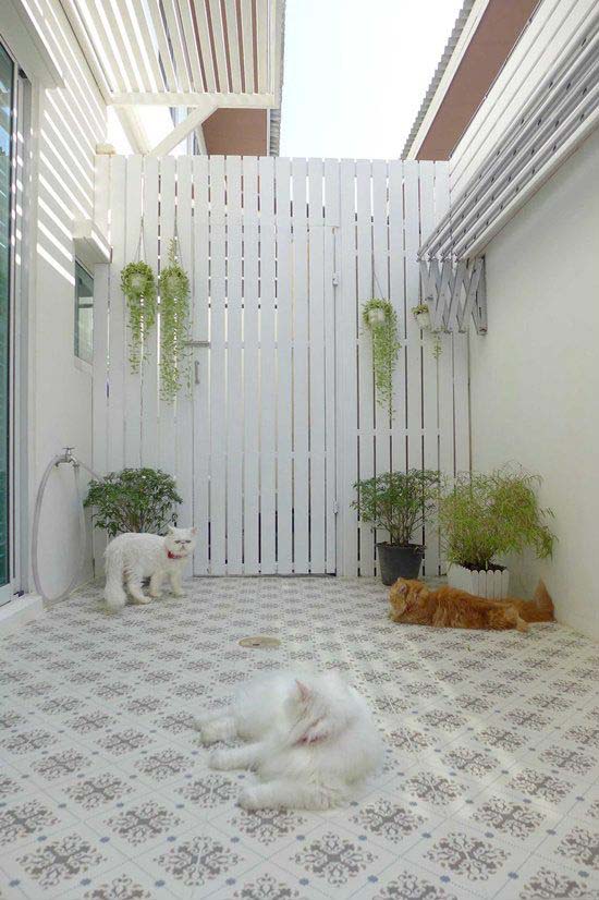 Make An Outdoor Room For Your Pets #woodenslats #homedecor #decorhomeideas