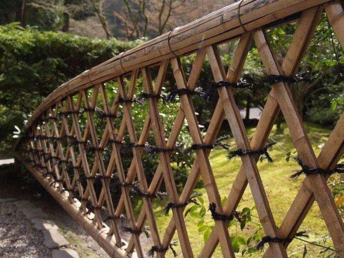 Raised Bamboo Trellis #bamboofence #fencing #decorhomeideas