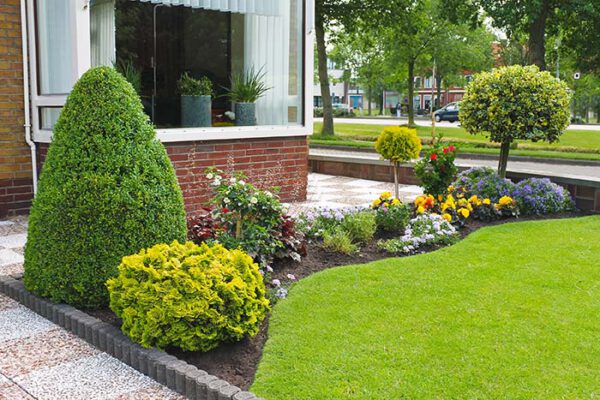 Small Front Yard Landscaping Idea