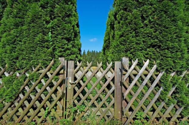 Split Bamboo With Gate #bamboofence #fencing #decorhomeideas