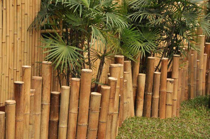 Three Walls of Bamboo #bamboofence #fencing #decorhomeideas