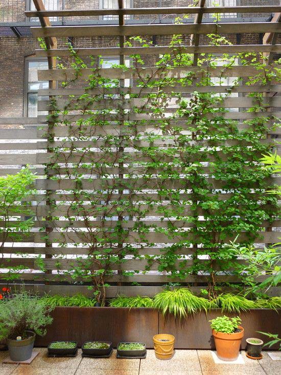 Trellis Wall From Wide Slats #woodenslats #homedecor #decorhomeideas