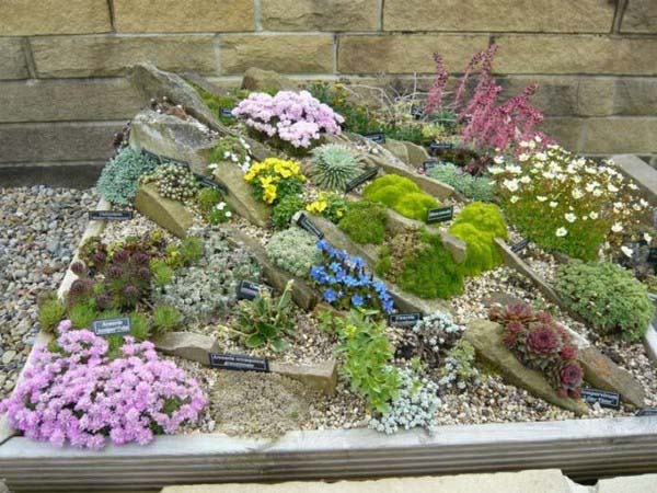 Add a Sample Garden #smallcorner #rockgarden #decorhomeideas