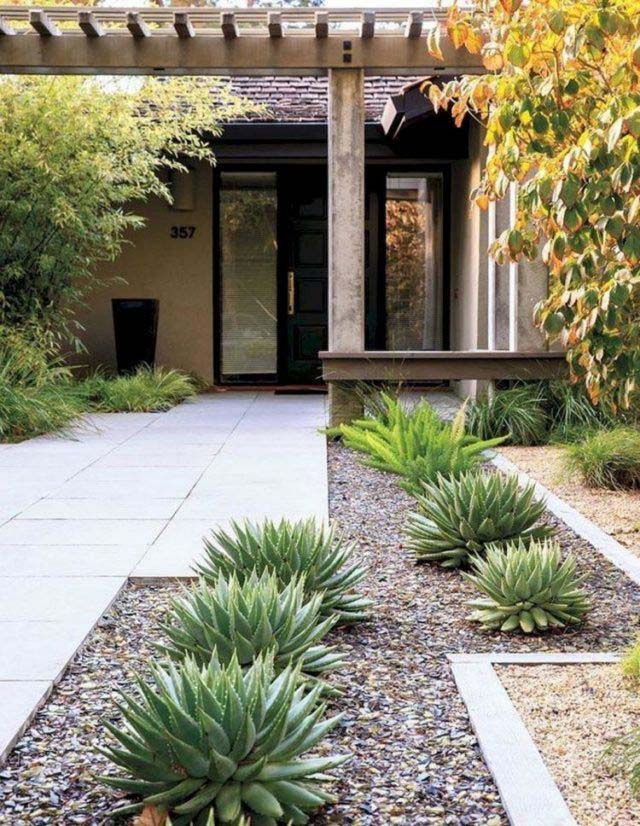 Aloe #desertlandscaping #inexpensive #decorhomeideas