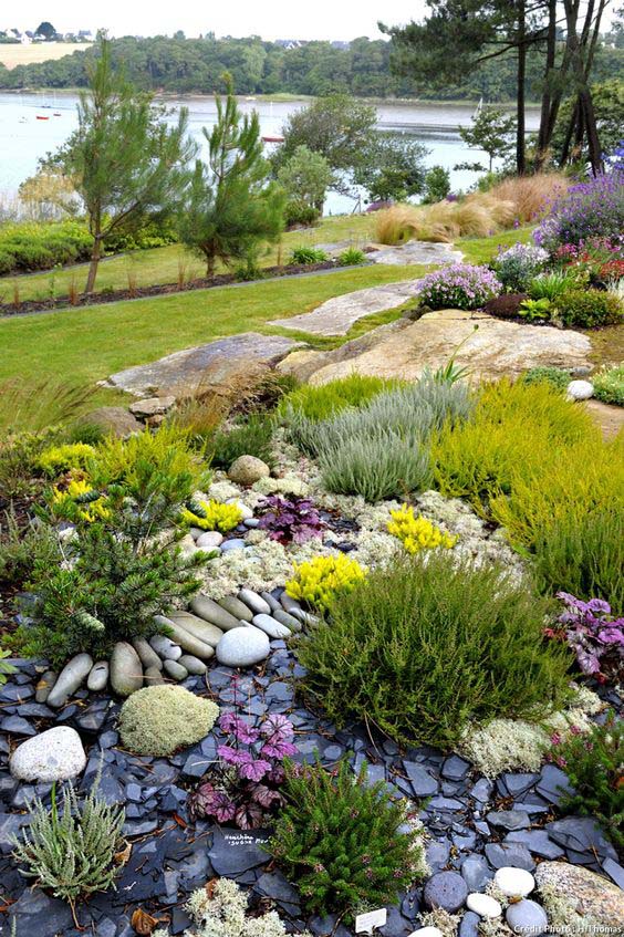 Beautiful Flower Beds With Native Plants #drainage #frontyard #landscaping #decorhomeideas