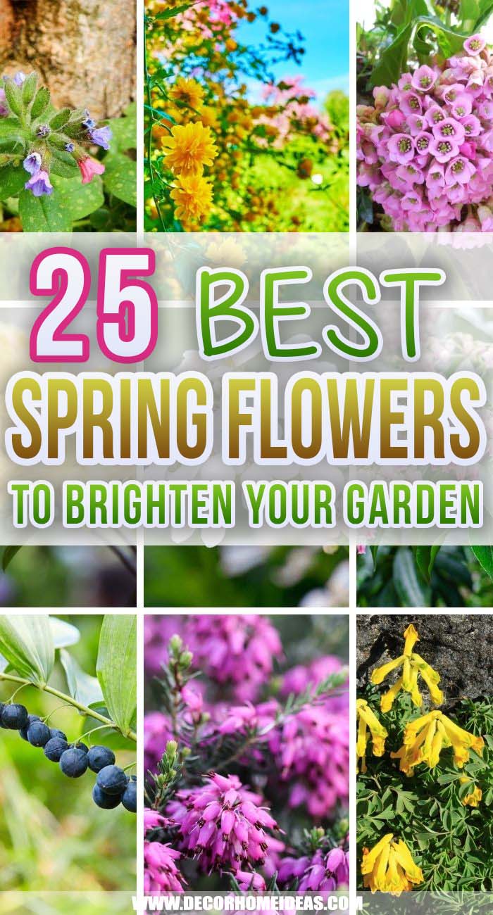 Best Spring Flowers. Kick-start the growing season by filling your garden with these perennial spring flowers that can still bloom in the chilly weather of early spring. #decorhomeideas