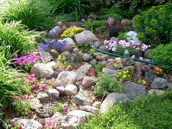 Bouquet on a Hill #smallcorner #rockgarden #decorhomeideas