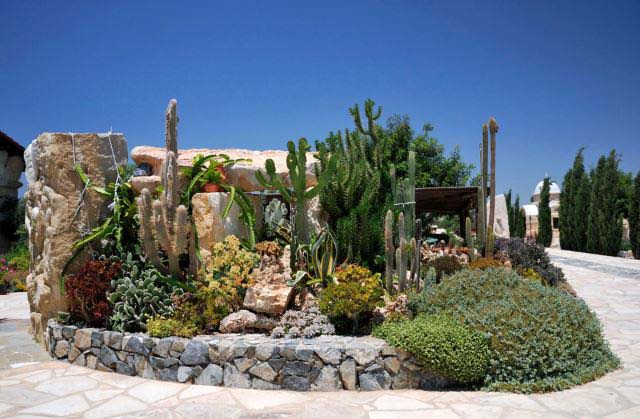 Build Up to Scale #desertlandscaping #inexpensive #decorhomeideas