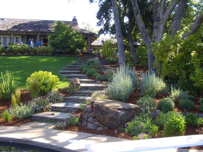 Divide Your Yard #hillsidelandscaping #budget #decorhomeideas