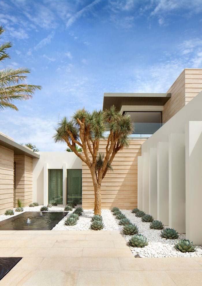 Drought Tolerant Trees #desertlandscaping #inexpensive #decorhomeideas