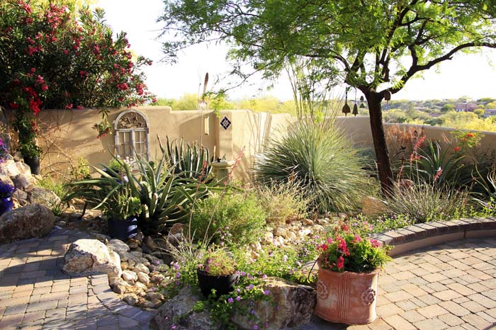 Fill a Corner #desertlandscaping #inexpensive #decorhomeideas